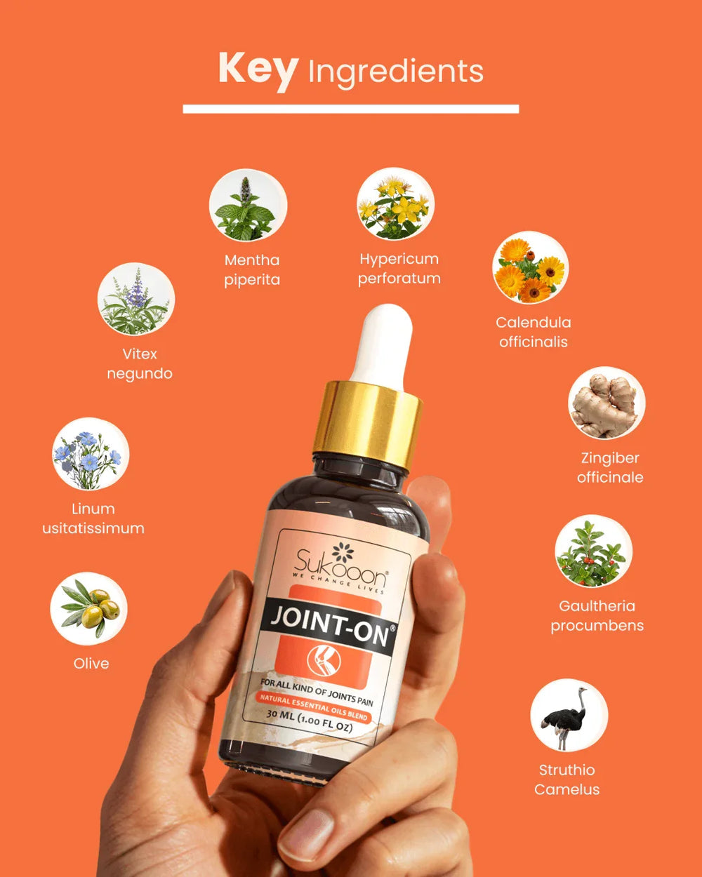 Joint oils | Joint Pain Healer